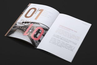 解析深圳產品目錄設計與VI系統(tǒng)的復雜性與代理代辦服務